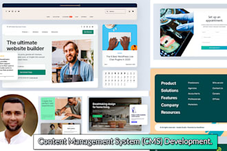 do wordpress development for your online business growth