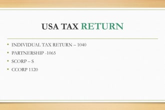 prepare and e file US tax return 1040, 1065 and 1120