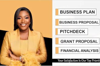 prepare an investor ready business plan for you
