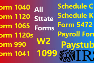 prepare and minimize your US tax filings 1040, 1065, 1120, 1120s 5472 schedule c