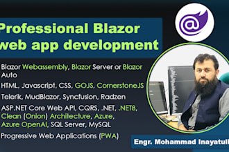 do professional blazor web application development