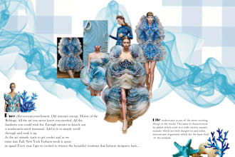 design fashion research moodboard and color palette for you