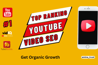 do youtube video SEO for top ranking with vidiq,  tubebuddy