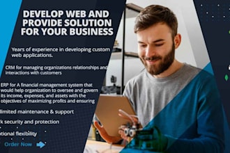 develop web app and provide solutions for you