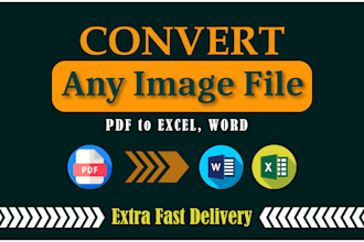 covert any scanned documents into word and excel