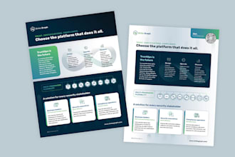create a unique onepager executive summary, media kit
