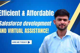 be your certified salesforce developer or virtual assistant
