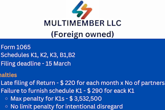 prepare US tax return form 1065 for foreign owned llcs
