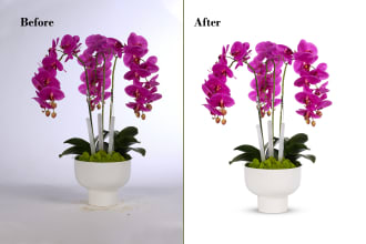 do professionally white or transparent background with shadow