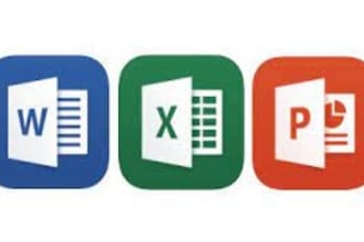 expert in ms excel, google sheets, word and power point