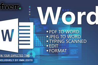 be your professional microsoft word expert