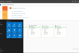 install and configure windows server, active directory, dns, dhcp, file server