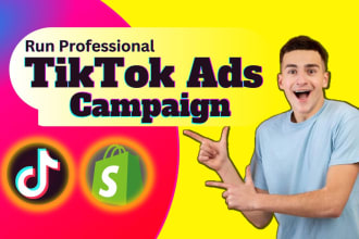 setup tik tok ads campaign, manage tik tok advertising