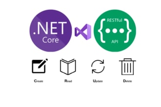be the dotnet developer for web API, microservice, and saas development