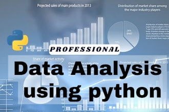 do data analysis and data visualization using python