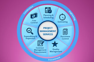 be project manager, s curve, report writing, dashboard, gantt charts