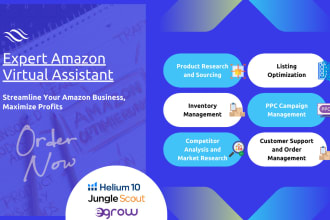 amazon virtual assistant for product optimization, PPC, and account management