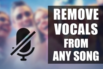 remove vocals from any song