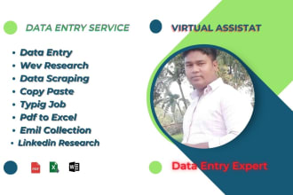 do professional data entry, web research, copy paste, emil collection, and etc