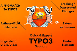 provide quick typo3 support