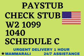 make paystub, check stubs, w2, 1099, 1040 with schedule c