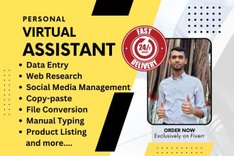 do fastest data entry and social media management as personal virtual assistant