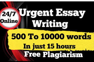 do urgent essay writing,research and summary reports