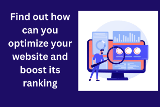 perform audit report and give report of issues in website