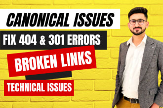 fix 404, 301, broken links, indexing and canonical issues