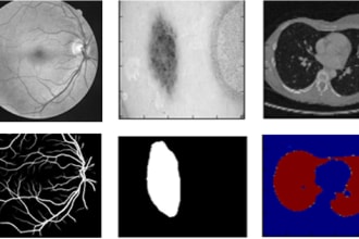 image preprocessing, detection, segmentation