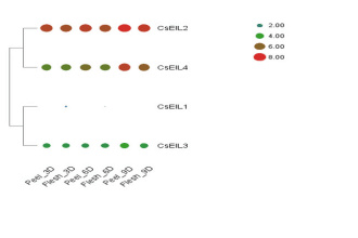 do any task of bioinformatics and statistical analysis