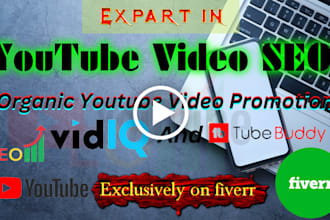 do the best youtube video SEO for top ranking with vidiq and tubbuddy
