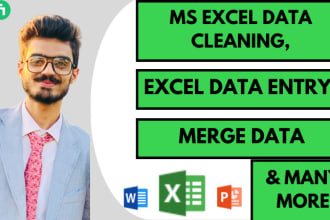 do ms excel data cleaning, excel data entry, merge data
