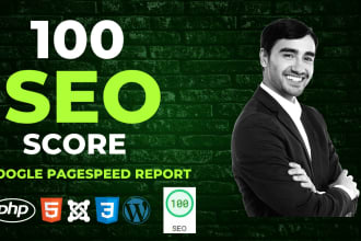 give your website 100 SEO score at google pagespeed report