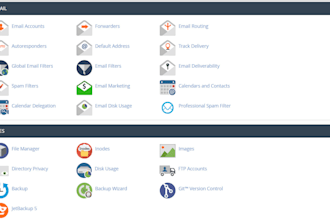 web hosting management and domain management