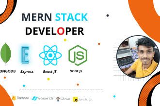 reactjs, nodejs, next js, and javascript or mern stack developer