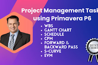 prepare a project plan and gantt chart on primavera