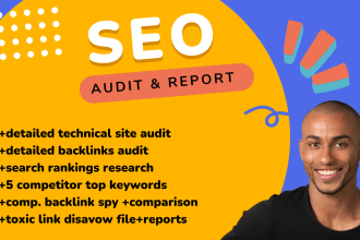do website SEO audit and analysis report and action plan