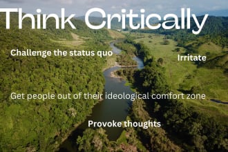 expertly craft your argumentative essays and critical analysis tasks