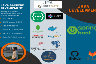 develop web applications using spring boot and react js