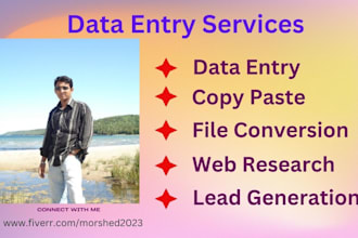 do high quality web research and data entry jobs