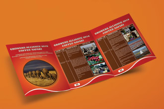 design a flyer, brochure, banner, post card, leaflet for your business