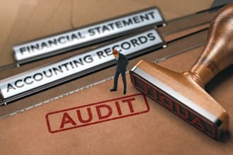 provide audited financial statements, audit report