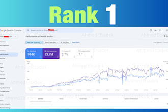 full website SEO expert on page technical off page optimization for top results