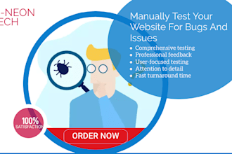 manually test your website for bugs and issues