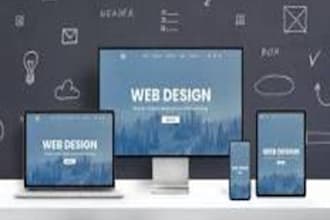 give professional web services ,custom web development