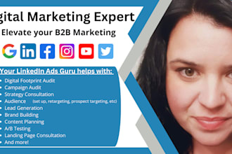 perform a linkedin ads audit and optimization consultation