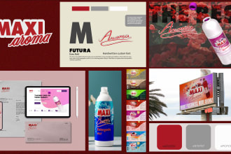 create premium logo, brand identity and guidelines