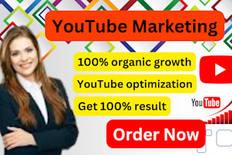 promote the youtube channel organically and increase traffic