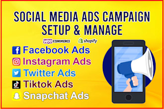 setup and manage your social media ads campaign